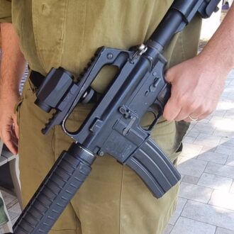 מסילה פיקטינית לגשר M16 מסילה פיקטינית לגשר M16