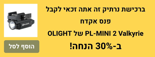 מבצע פנס