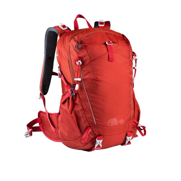 _תיק גב לטיילים, 32 ליטר – GoNature CHAMBERLIN III 32 – בורדו